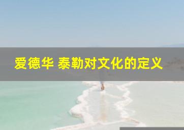 爱德华 泰勒对文化的定义